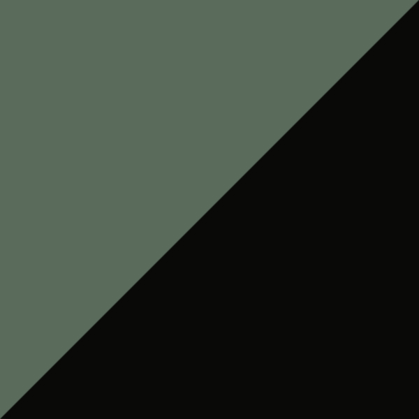 Green/Black 4600