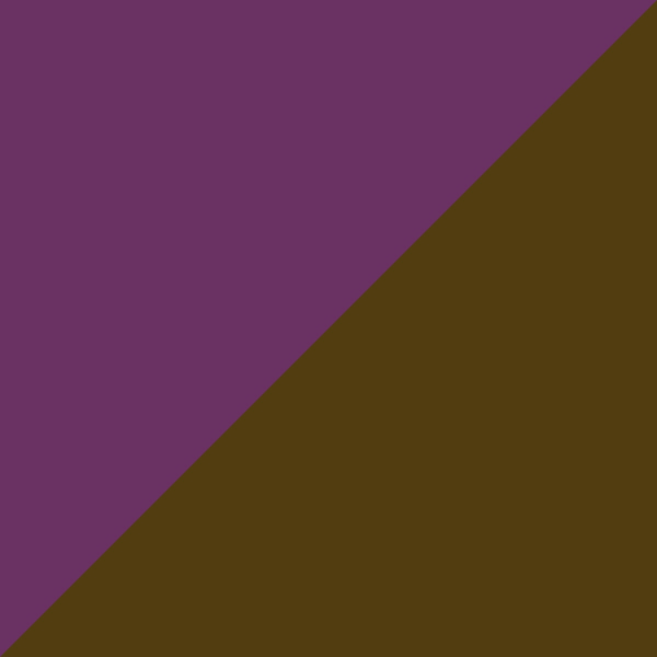 Purple/Tortoiseshell