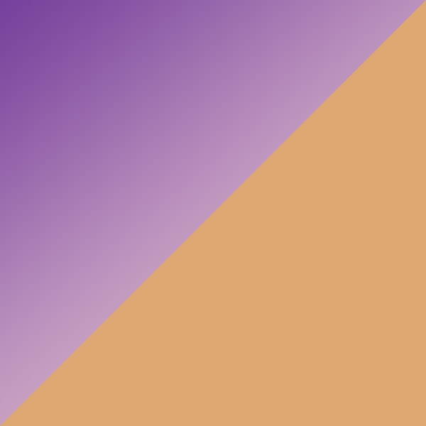 Floral Purple/Rose Gold