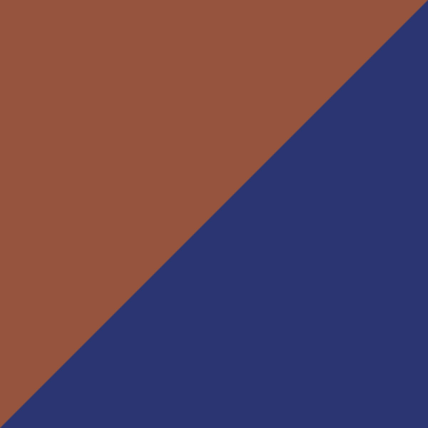 Tortoiseshell/Fiber Blue/Carbon 9022