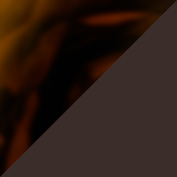 Tortoiseshell/Brown 9163