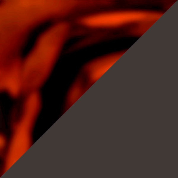 Wood/Carbon/Shiny Gunmetal