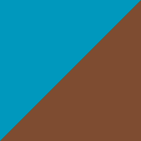 Gradient Tortoiseshell/Yellow