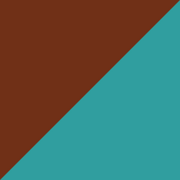 Brown/Turquoise