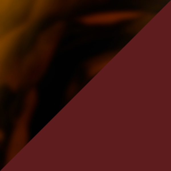 Tortoiseshell/Burgundy