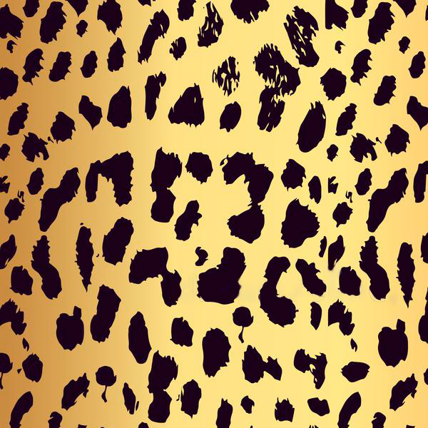 Demi/Black and Crystal Striped