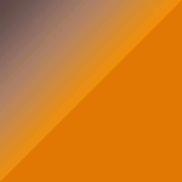 Pixel Tortoiseshell/Antique Copper