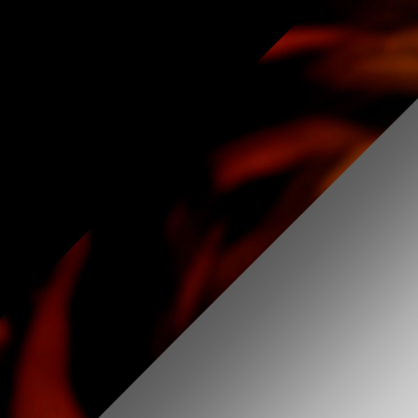 Black/Havana / Gray Gradient