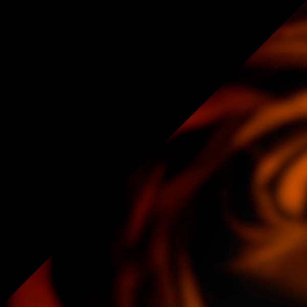 Black/Havana / Transparent AR