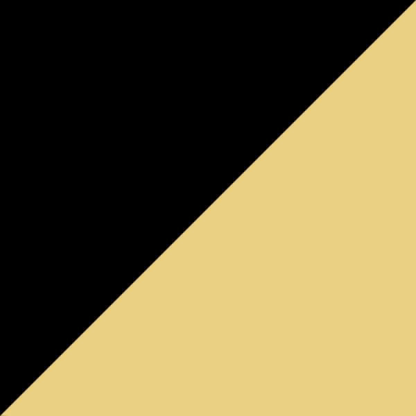 Black / Yellow
