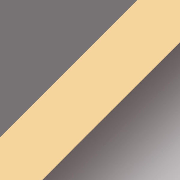 Silver/Gold / Silver Mirrored