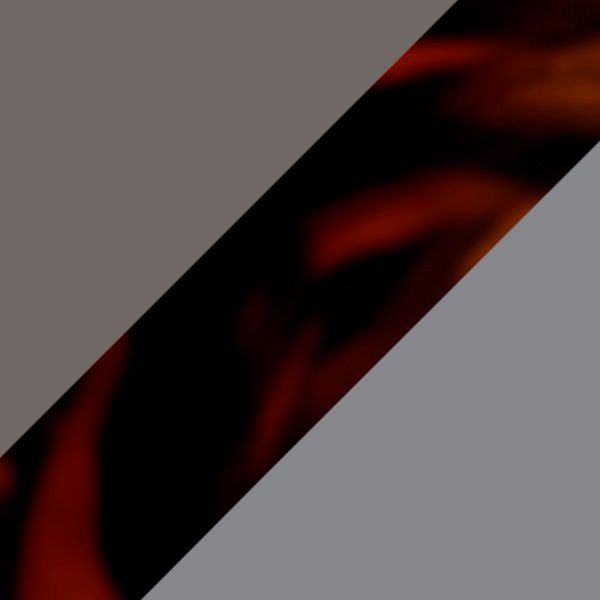 Gunmetal/Havana / Gray