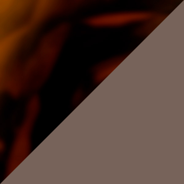 Havana/Brown / Brown 009