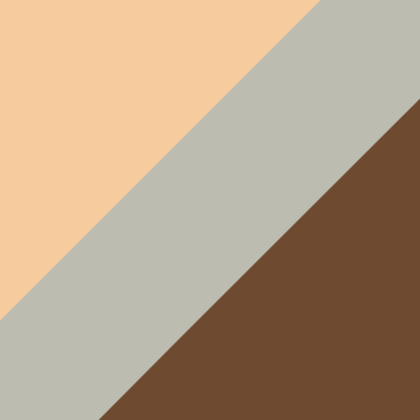 Silver/Gold / Brown