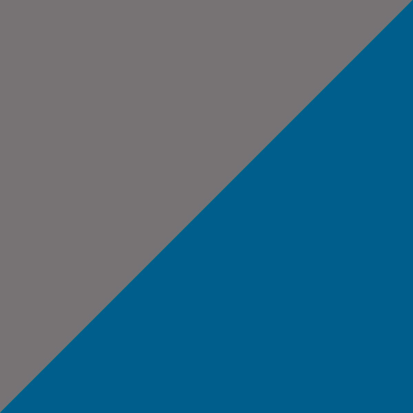 Gray/Blue