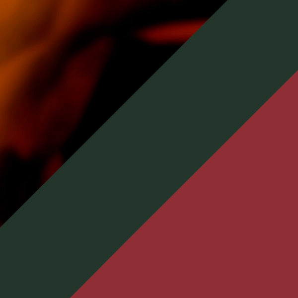 Havana/Multicolor / Green