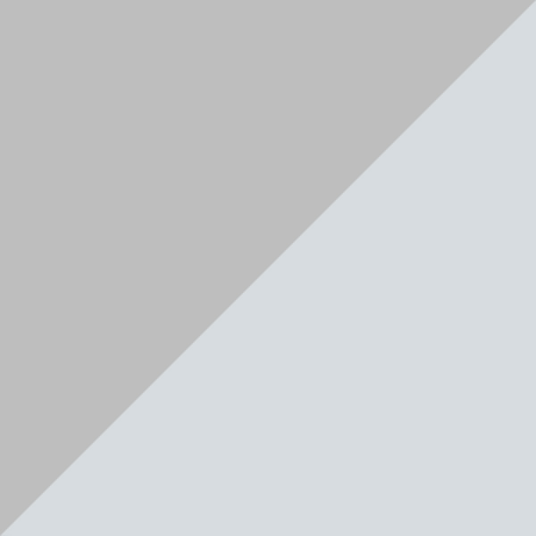 Silver / Silver Flash