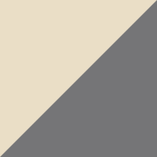 Beige / Silver Mirrored