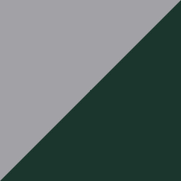 Gray/Green