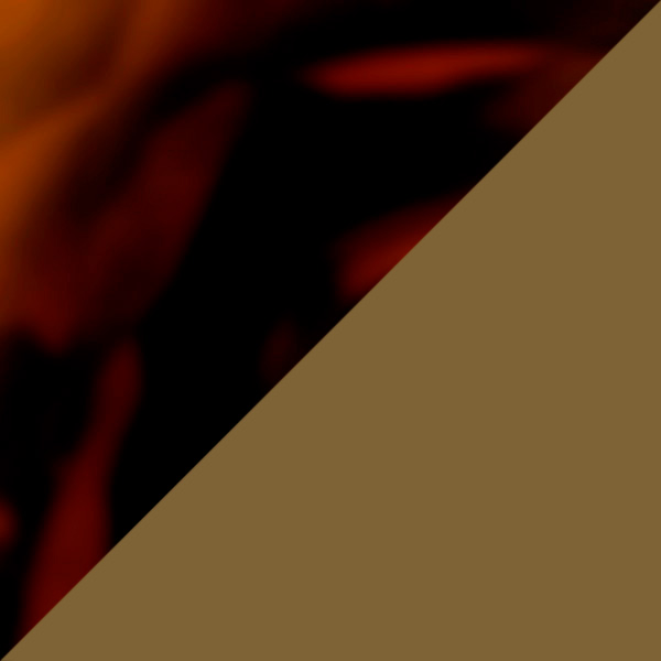 Havana / Bronze Flash