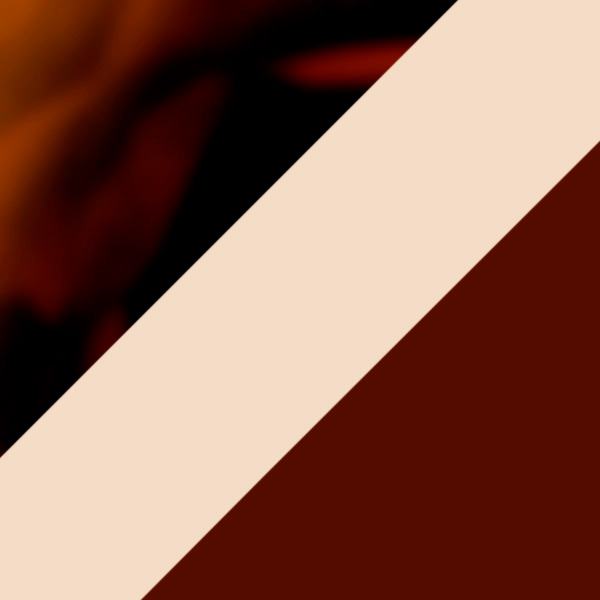 Havana/Ivory / Brown  003