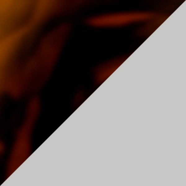 Havana/Silver / Violet AR