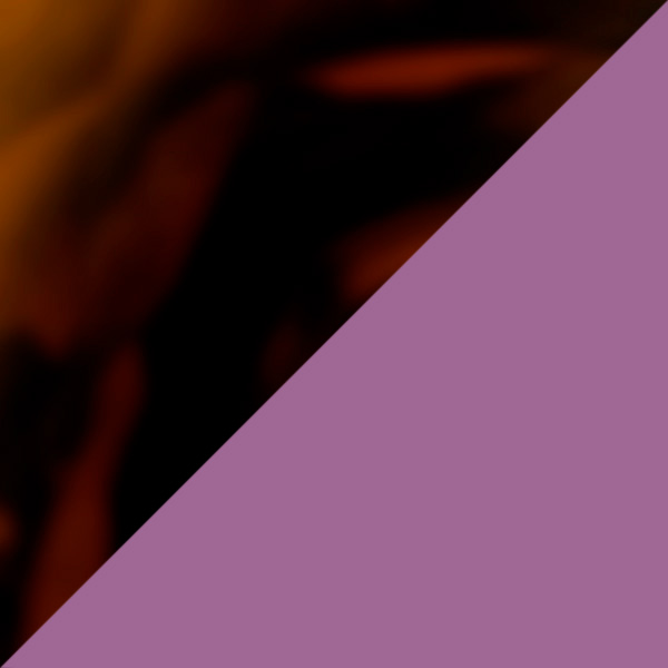 Havana/Violet / Violet