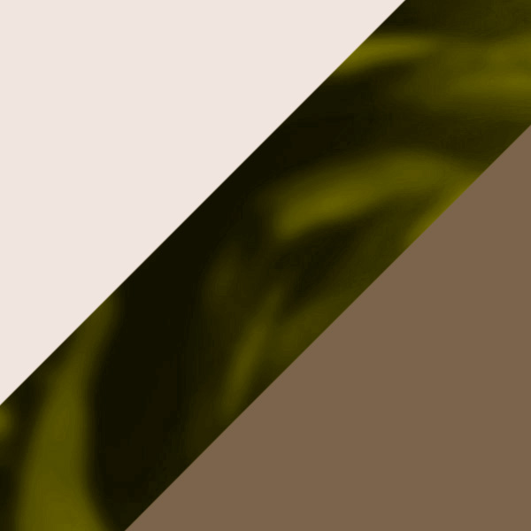 Ivory/Havana / Brown 004