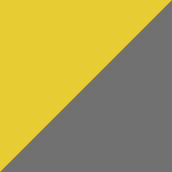 Gray/Yellow