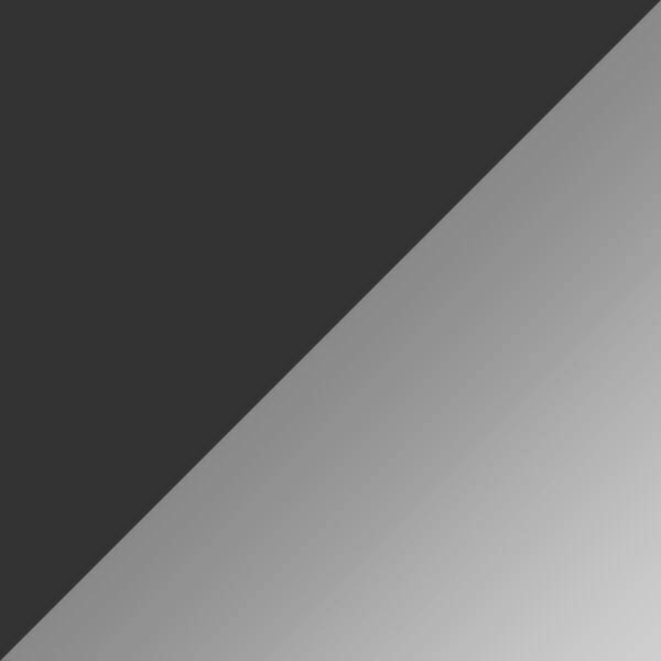 Gunmetal / Silver Mirrored Double