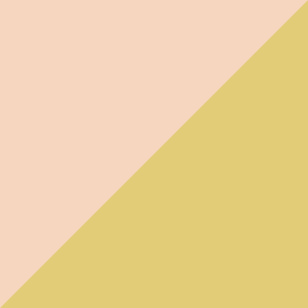 Nude/Gold / Pink Gradient