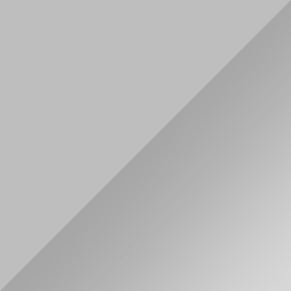 Silver / Silver Mirrored