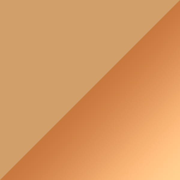 Beige / Brown Mirrored