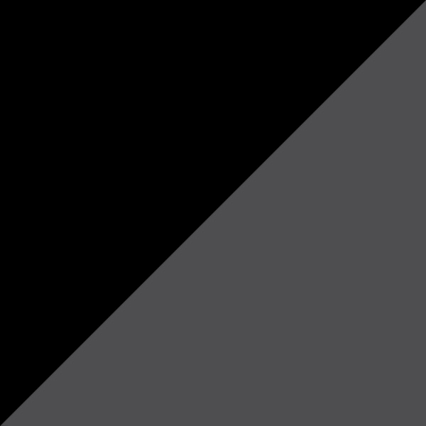 Black / Gray Polarized