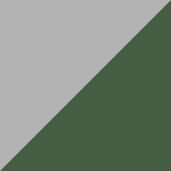 Silver/Green