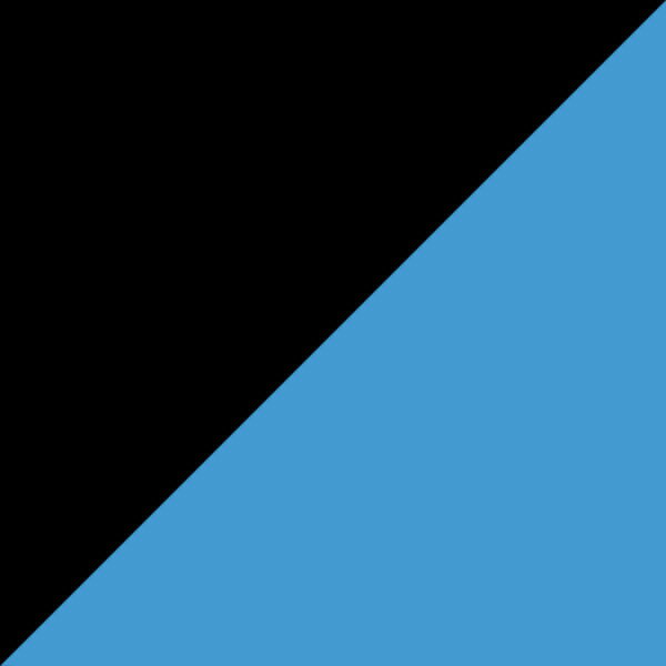 Black/Blue 007