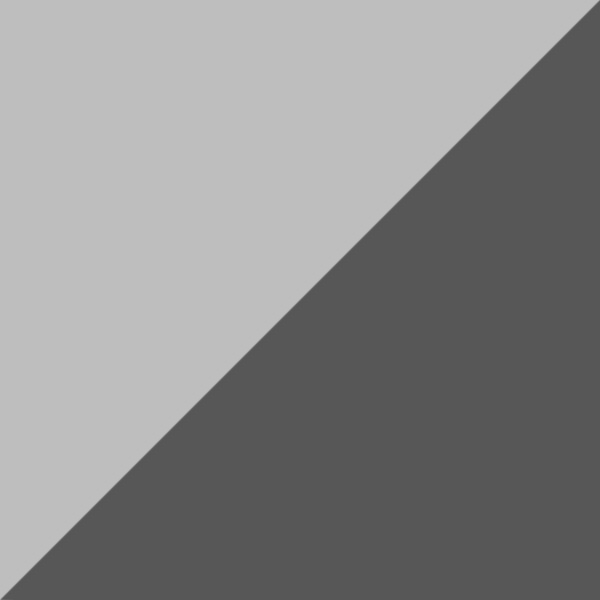 Silver/Gray / Transparent Photochromatic