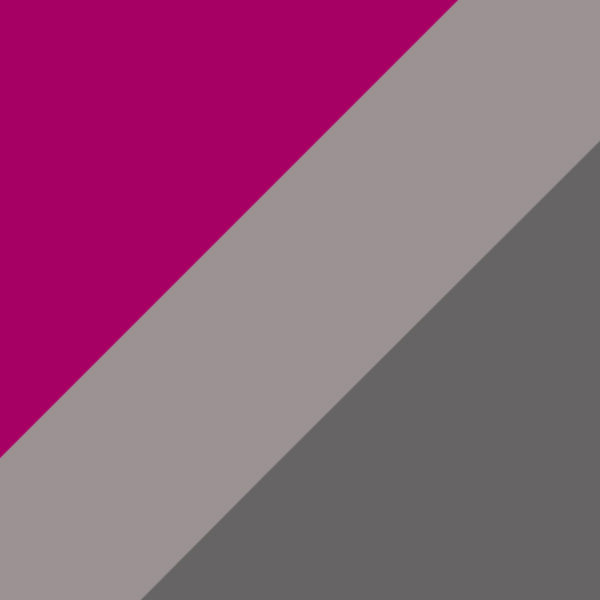 Fuchsia/Silver / Gray
