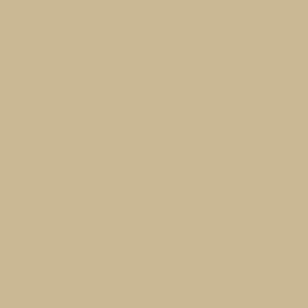 Beige 5192T