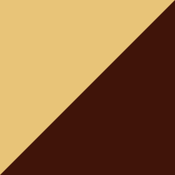 Amber Brown C01