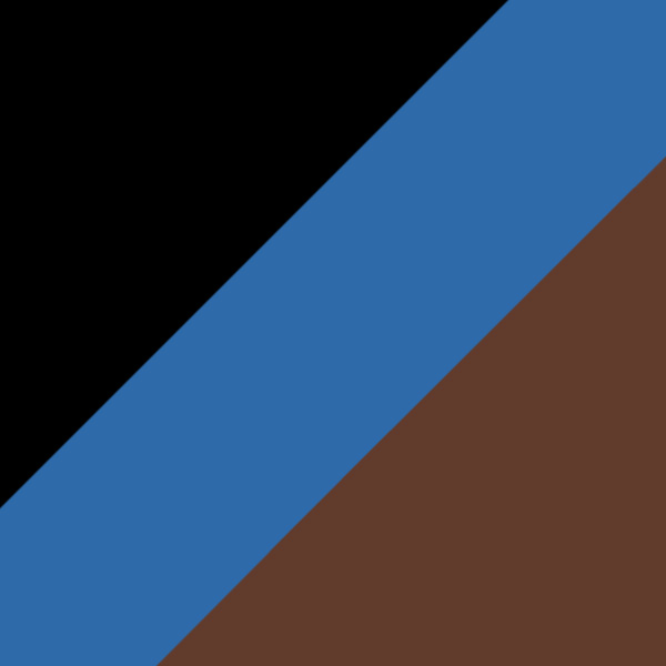 Black-Blue Tortoise