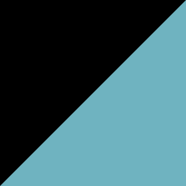 Black / Turquoise