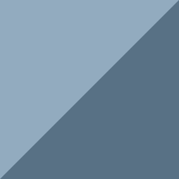 Blue Leopard C02