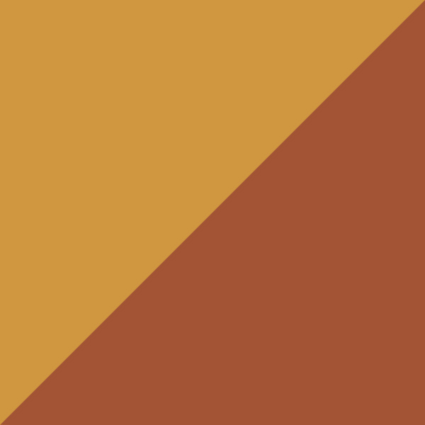 Brown Grain / Dark Brown Gradient Polarized