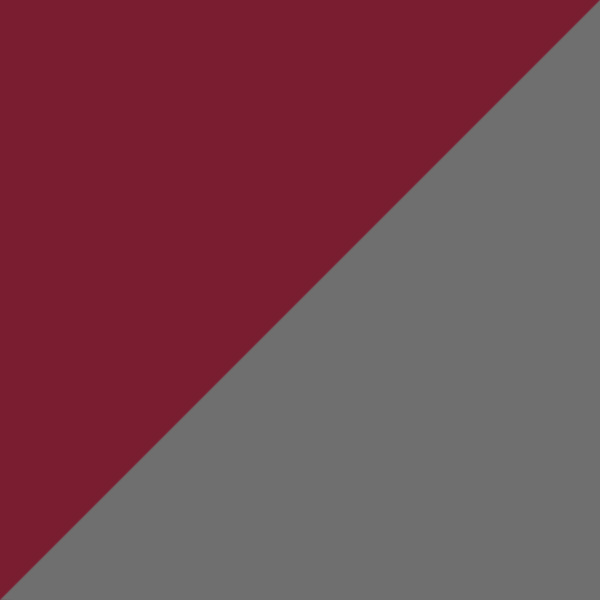 Burgundy / Gun