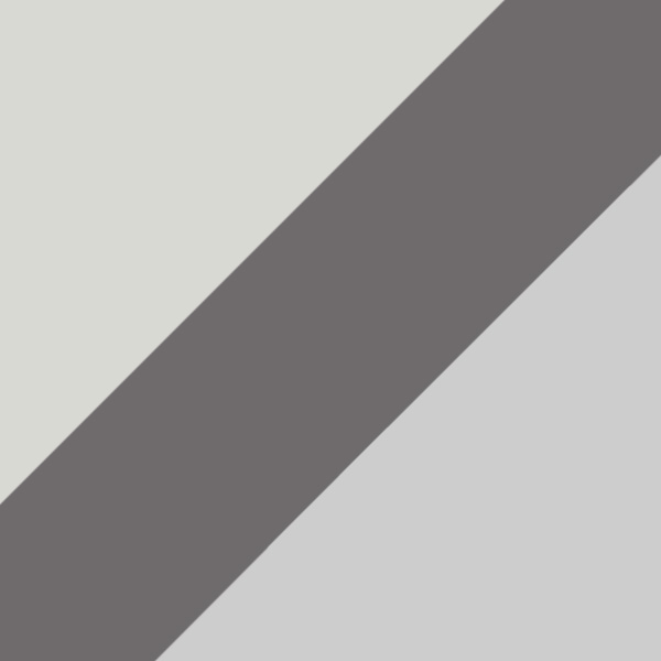 Gray Horn/Light Gunmetal