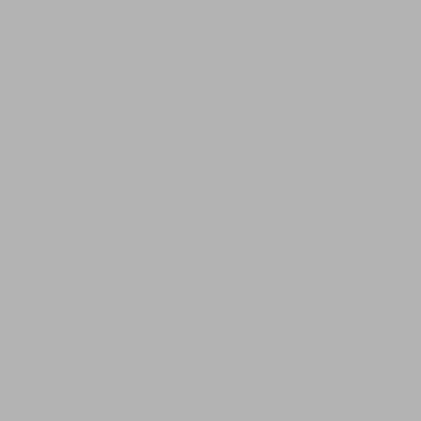 Matte Slate C03
