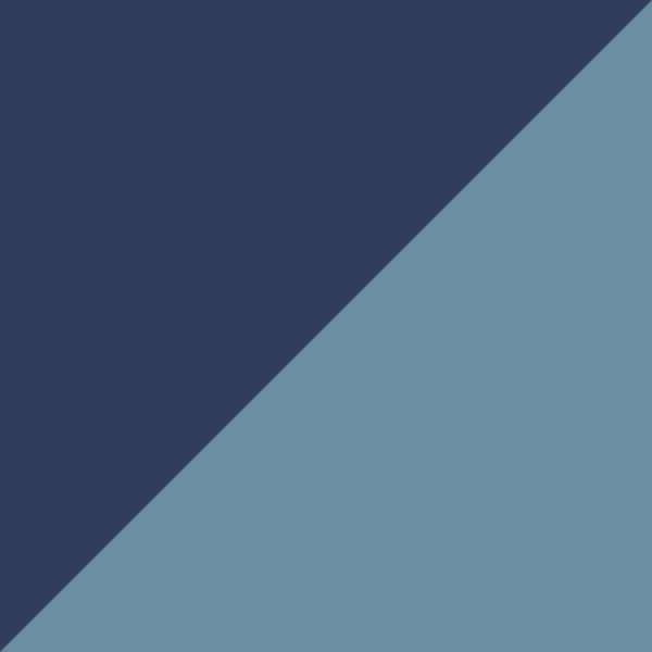 Navy / Light Blue