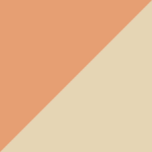 Peach/Gold / Purple Gray Polarized