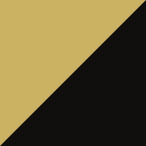 Tokyo Tortoise C02